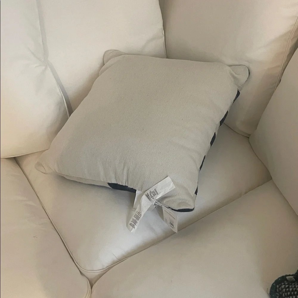 Pottery barn pillow